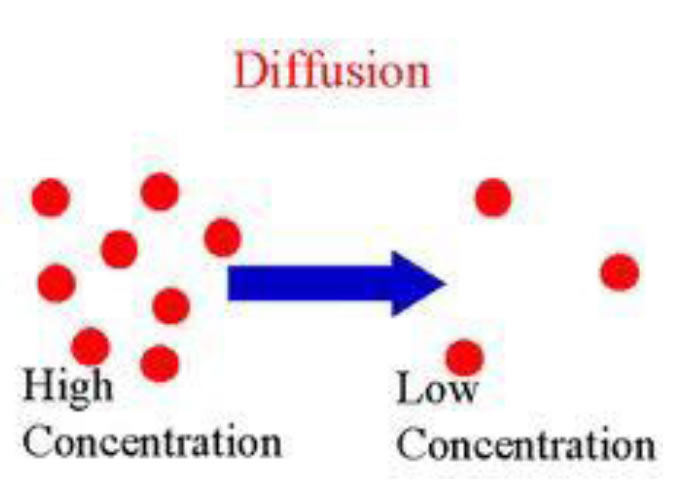 biology-the-fundamental-unit-of-life-key-points